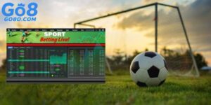 Kèo 2.75 Eredivisie: Cách Thức Tính Tài Xỉu Chia Nửa Chuẩn